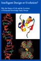 Intelligent Design or Evolution? Why the Origin of Life and the Evolution of Molecular Knowledge Imply Design