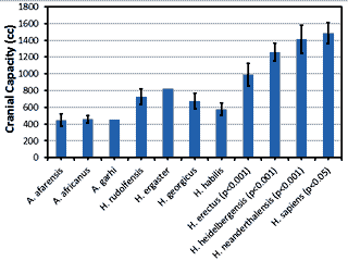 Hominid Brain Capacities Over the Last 3 Million years