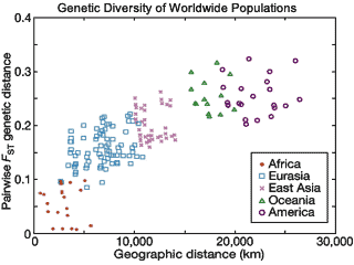 Middle Easterners have second highest genetic diversity