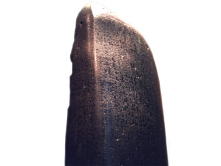 Code of Hammurabi