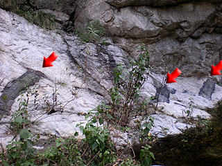 Faulted Granite at Sturtevant Falls