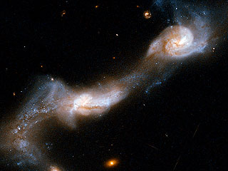 Interacting Galaxy UGC 8335
